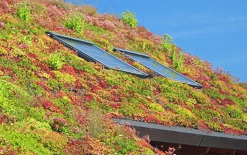 Whitgift living roof systems