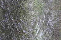 Whitgift fibreglass roof work